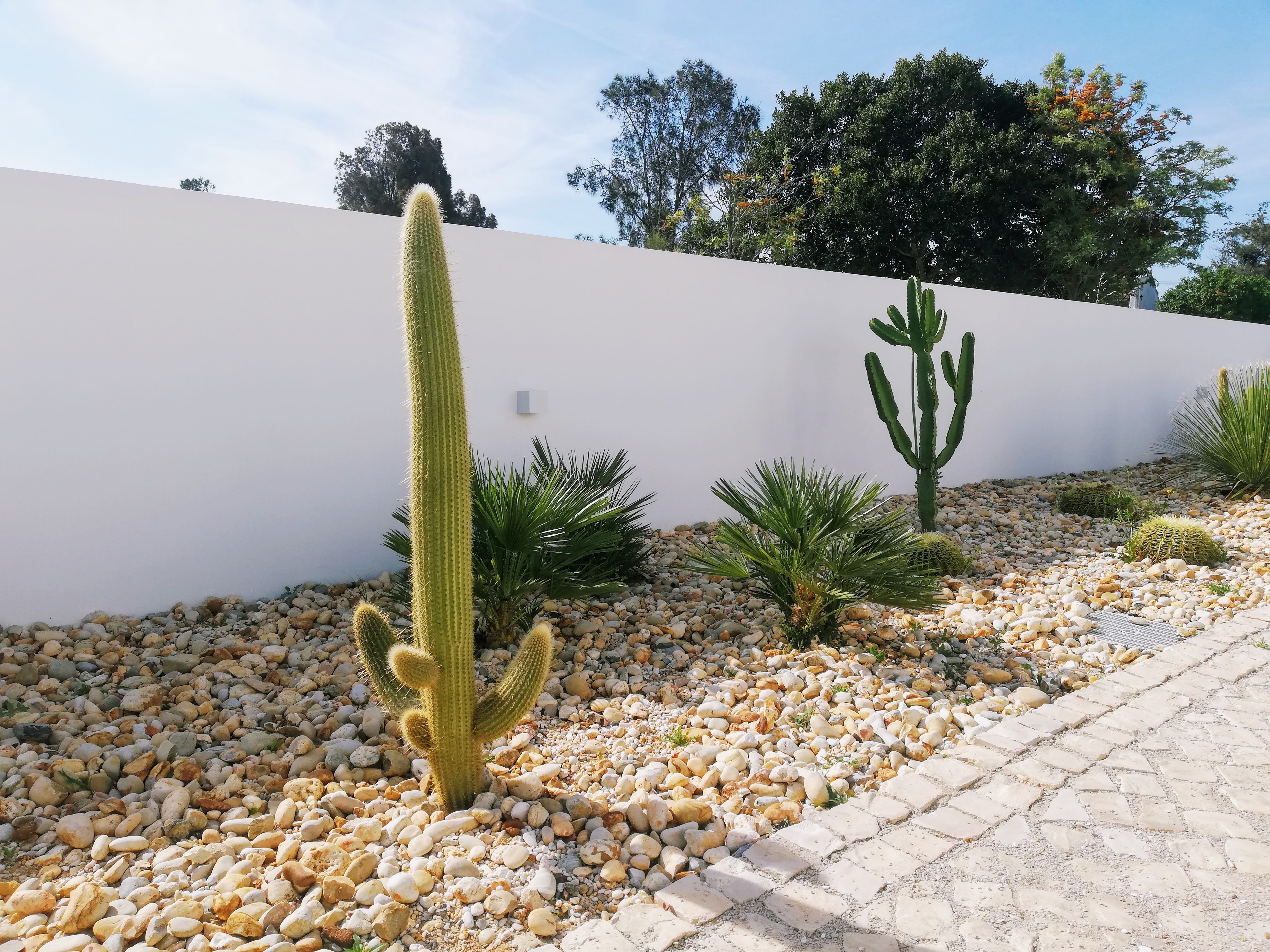 Aldeia de Marim - Image 4